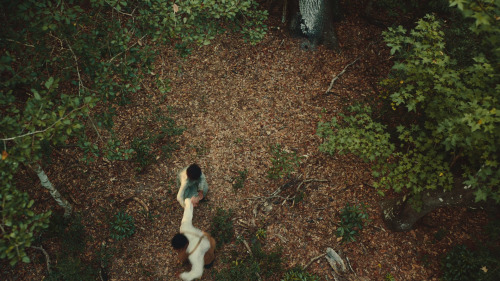 shesnake:The Underground Railroad episode 1 "Chapter 1: Georgia" (2021) dir. Barry Jenkins