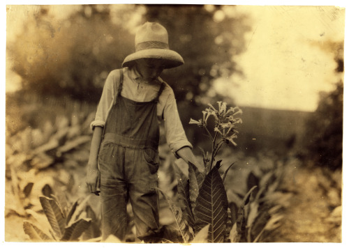 Lewis Hine's Photography