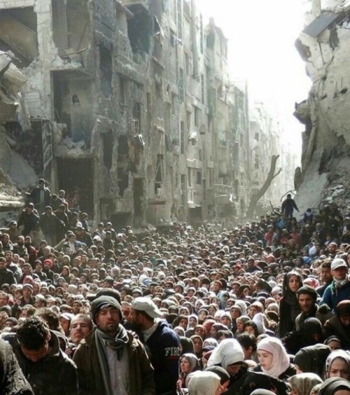 soso0197: druganaut: asmaor: ياربّ حلب … This is Aleppo. These are the people you may not kno