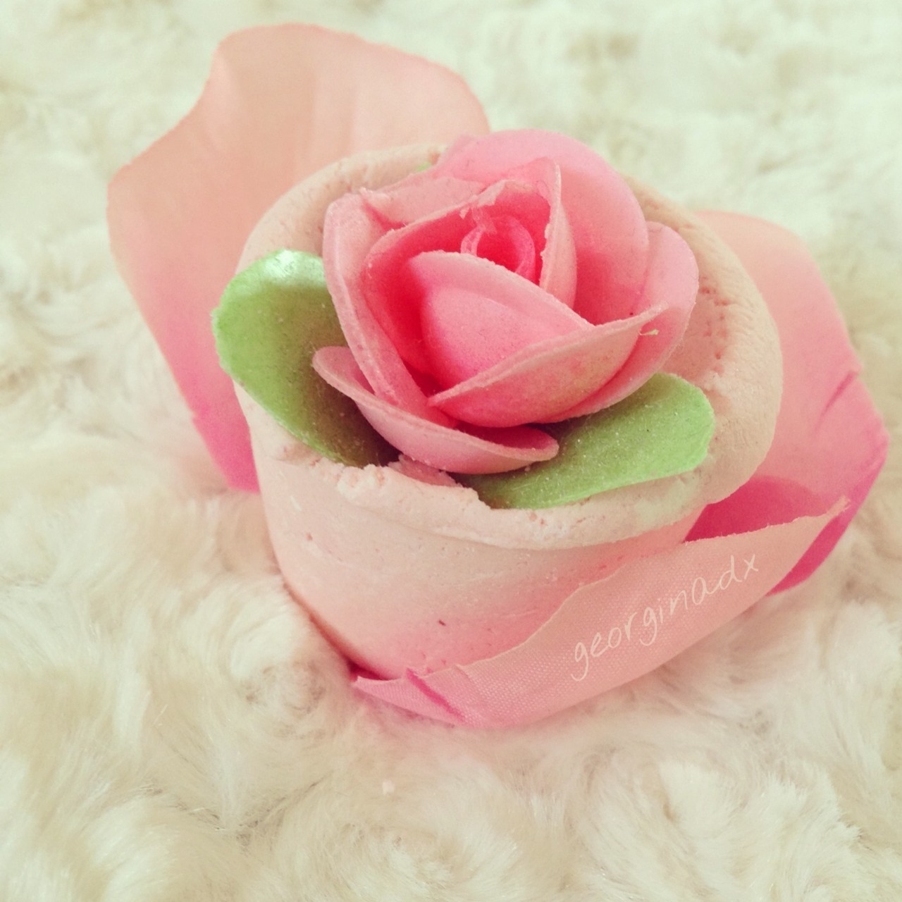 daisiella:  ♡ rosy rosy rosy ♡