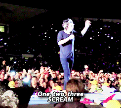 signedmalik:  Harry testing fans - Santiago, Chile.