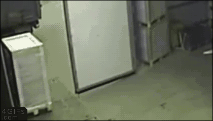 gif-guy:  Other Funny Gifs http://gif-guy.tumblr.com/