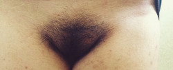 analbbyx:  bush pic   Pelo d’Autore n°