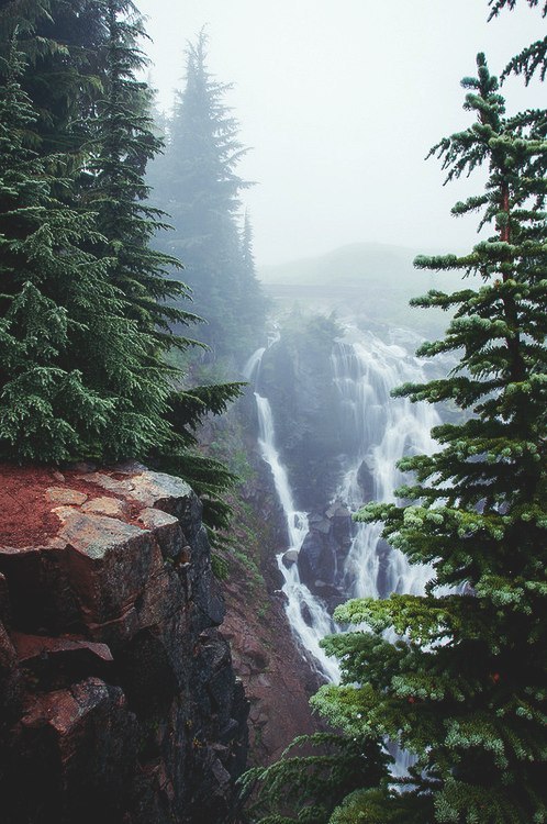XXX eartheld:  mostly nature photo