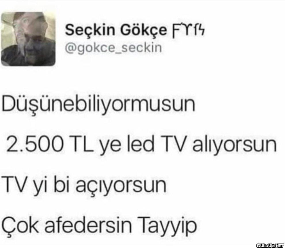 Seçkin Gökçe FY14...