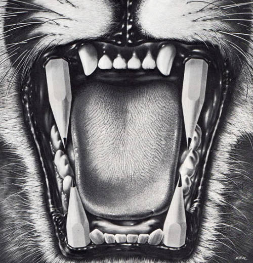 ultrajumpinthings:Save the tiger
