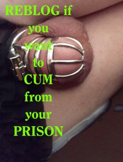 chastity-queen:  I teased and denied My slave