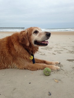 prickely:  my favorite beach date  ig: catherinenelle