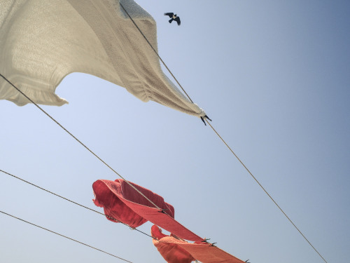 Senegal, Dakar, 2014 l Photo: Pauline MaisonneuveLooking out there.