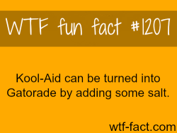 wtf-fun-facts:  You can turn Kool-Aid into Gatorade by just adding some salt. (source) MORE OF WTF FACTS are coming HERE animals and weird facts ONLY