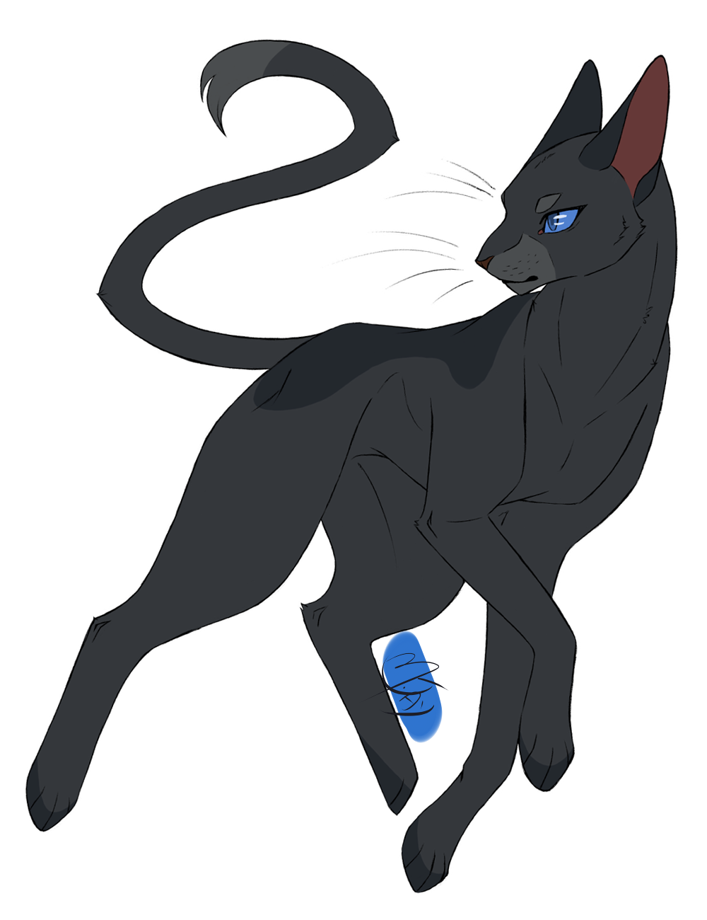 100 WARRIOR CATS CHALLENGE] #14 - Jayfeather by toboe5tails on