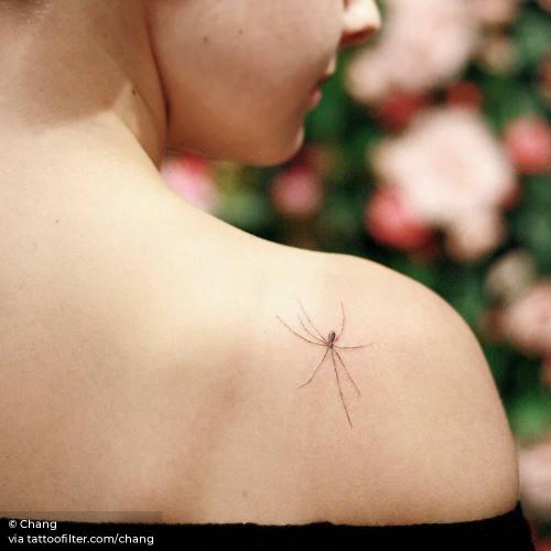 By Chang, done in Manhattan. http://ttoo.co/p/35683 animal;arachnid;chang;facebook;shoulder blade;single needle;small;spider;twitter