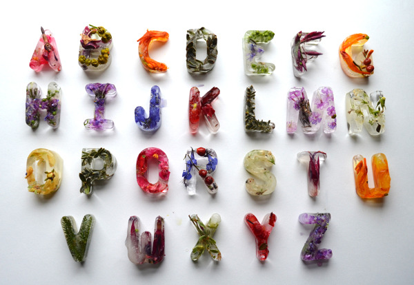 kjevangelista:  Botanical Typography Made with Frozen Flowers in Ice by Petra Blahova