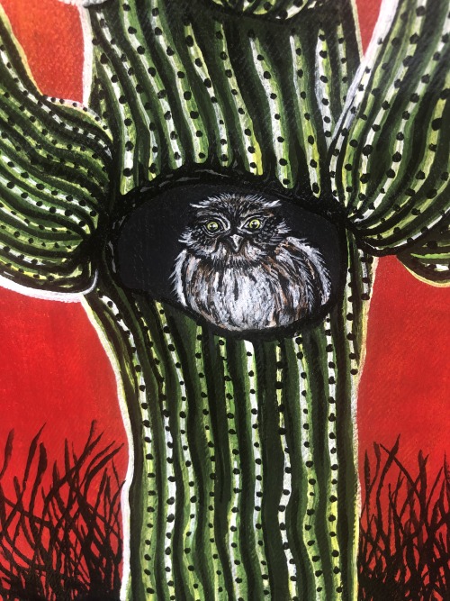 Pygmy owl nesting in a blooming saguaro, hand painted on a Gap jean jacket. Available in my shop: go