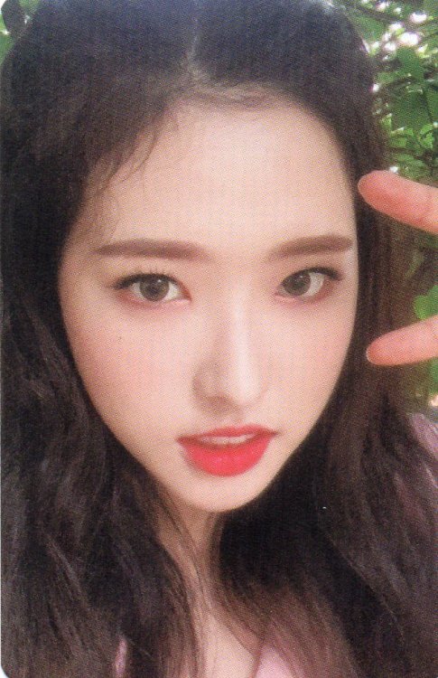 12loona:[SCANS] 2020 LOONA 1st Season’s Greetings - Photocard Sets (cr: zoozeopking)