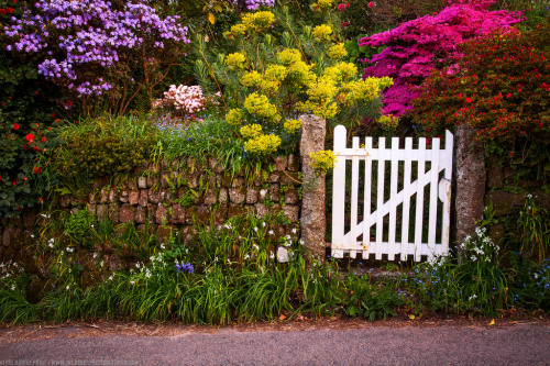 wanderologie-: Cornwall, England