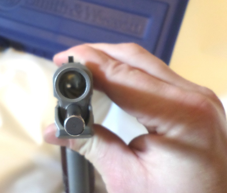 badger-actual:  S&amp;W 1911TA