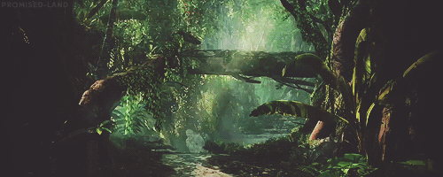 promised-land:  Assassin’s Creed IV Black Flag 