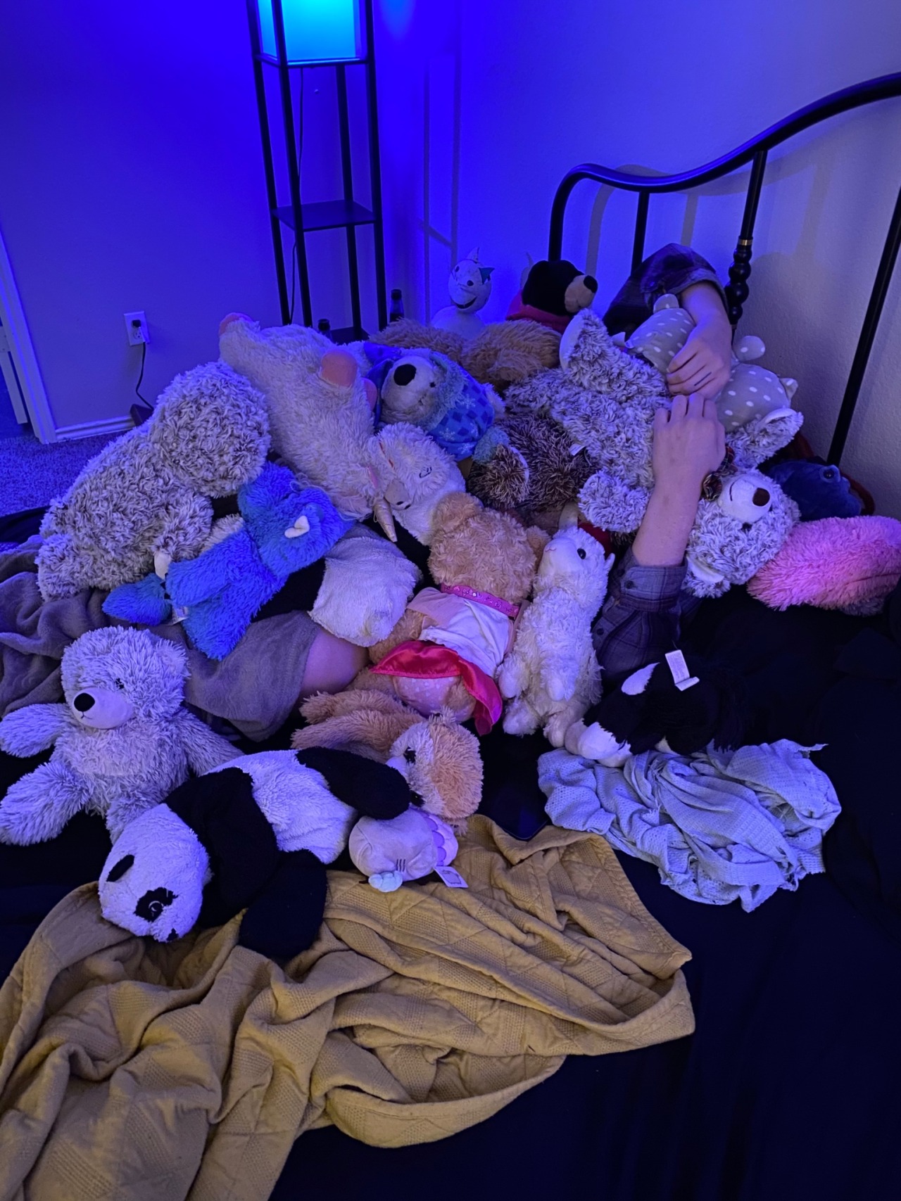 lauryn-order:Last night was a close one. We almost lost @baby-foxx! Thankfully we eventually found her buried under stuffie mountain. Phew! 