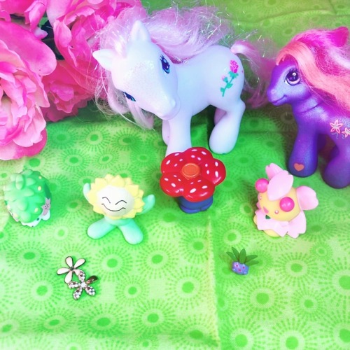 Toy Collectors Challenge Day 6 ~ Flowers