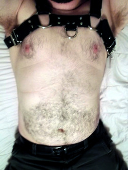 bears-and-games:  Happy (first) tummy Tuesday, everyone. I don’t get many excuses to whip out the harness. ;)