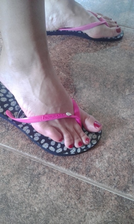 lyndadisciplinadora: Boa tarde