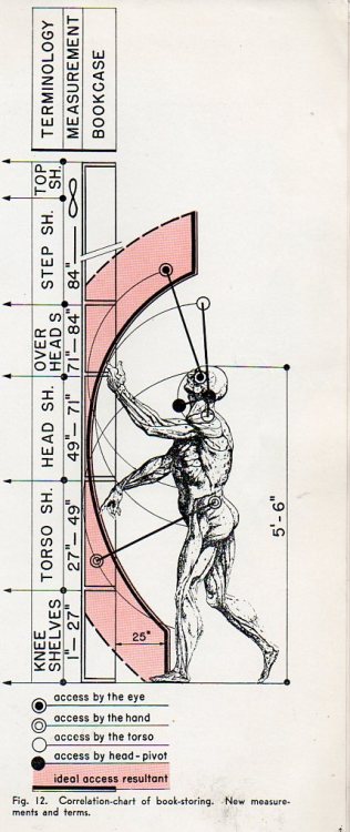 periferiadomestica:
“ “Kiesler’s forensic analysis of the range of human motion regarding the selection of books from shelves (and using a Vesalius image for his 5’6” person)“
Vía
”