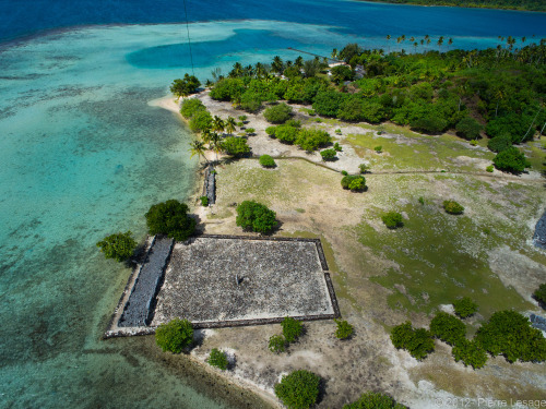 As a New Zealander I thought it was high time I posted some archaeology a bit closer to home. A very