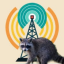 raccoon-radio