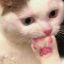 litchimochi