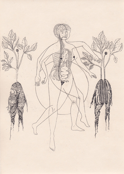 darksilenceinsuburbia:  Harriet Lee-Merrion Plato’s Symposium #1, 2, 3, 4, 5 & 6  Tumblr 