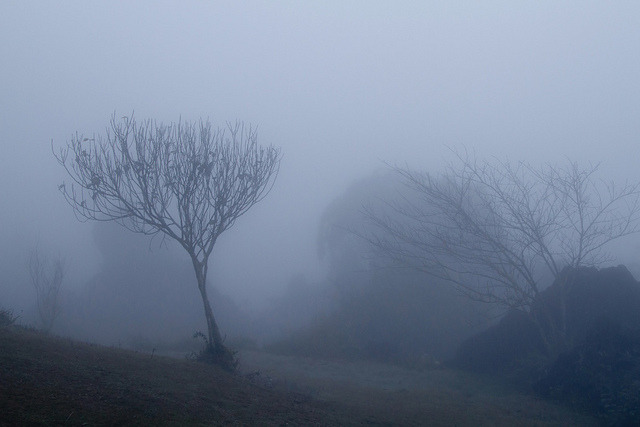 paslematin:  Misty Sa Pa, Vietnamwww.gdecooman.fr - portfolio, stages photo et visites