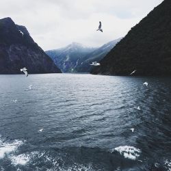 melodyandviolence:  Norway by   polywinter  