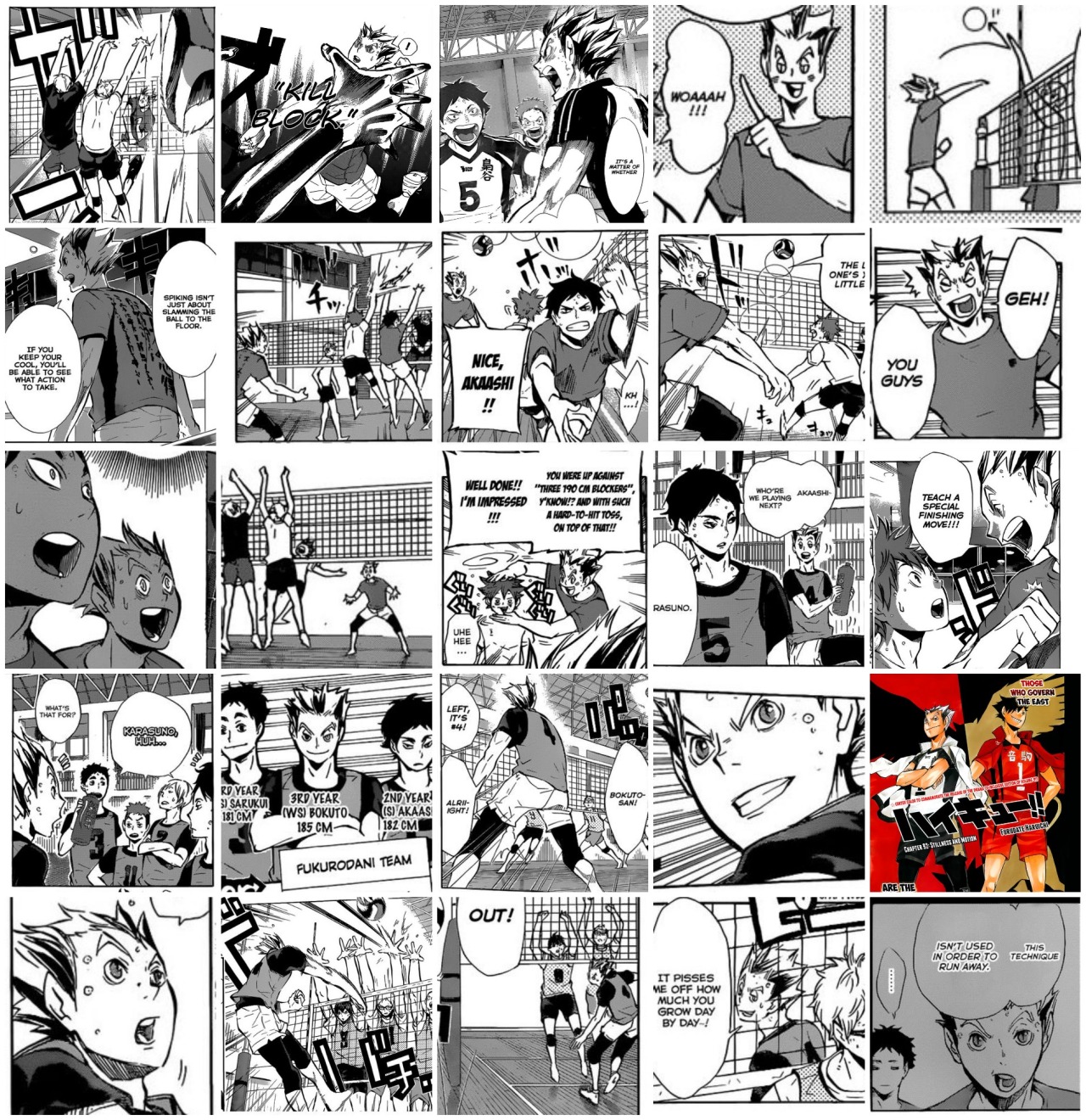 mausalen:  I fucking did it, 243 panels in total Bokuto’s appearances in the manga.