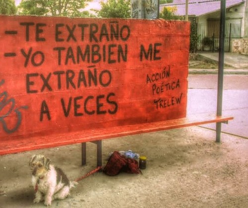 Acción Poética Trelew… con sus respuestas ocurrentes.