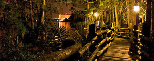 congenitaldisease: Disney’s Discovery Island - A former wildlife attraction in the heart of Di