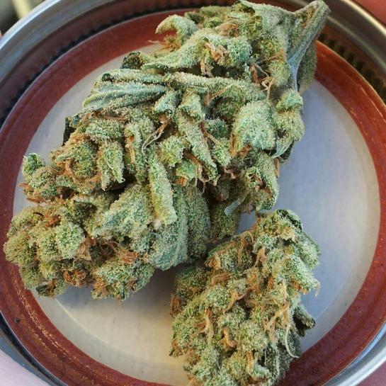 psychedelic-pussysmasher:  Super lemon haze 