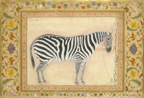 Mansur (Mughal; active ca. 1589–1626)Zebra Presented to the Mughal Emperor Jahangir (r. 1605–1627) b