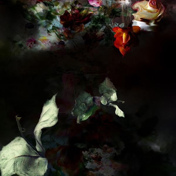 crossconnectmag:  A discussion with digital photographer Isabelle Menin by imaginarium