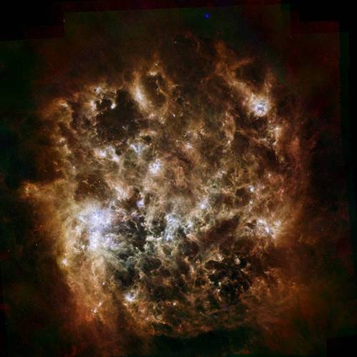 Infrared Portrait of the Large Magellanic Cloud #nasa #apod #esa #jpl #caltech #stsci #largemagellaniccloud #satellitegalaxy #cosmic #dust #herschelspaceobservatory #spitzerspacetelescope #dwarfgalaxy #universe #intergalactic #space #science #astronomy