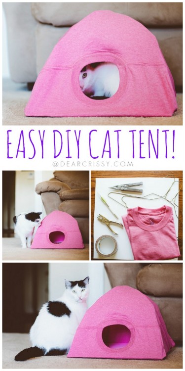 DIY Cat Tent Tutorial from Dear Crissy.This DIY Cat Tent is a cheap and easy refuge to make refuge f