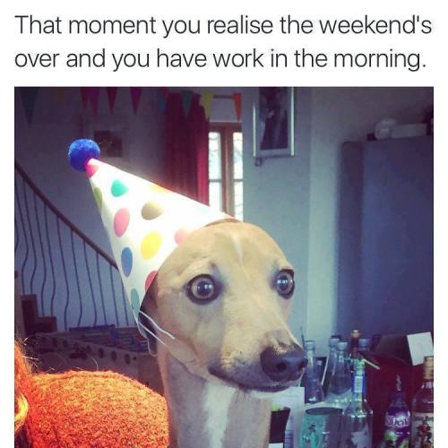 AnnabelleHector'sWorldOfWeird