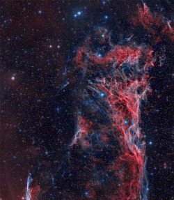 astronomicalwonders:  The Veil Nebula - Sharpless 103 Located 1,500 light-years away in the constellation Cygnus is a cloud of heated and ionized gas and dust known as the Veil Nebula. The Veil Nebula is the visible portion of a massive supernova that