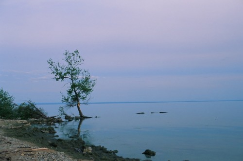 kerirusski: Port Colborne, Ontario June 2019 Shot with Fujichrome Velvia 50