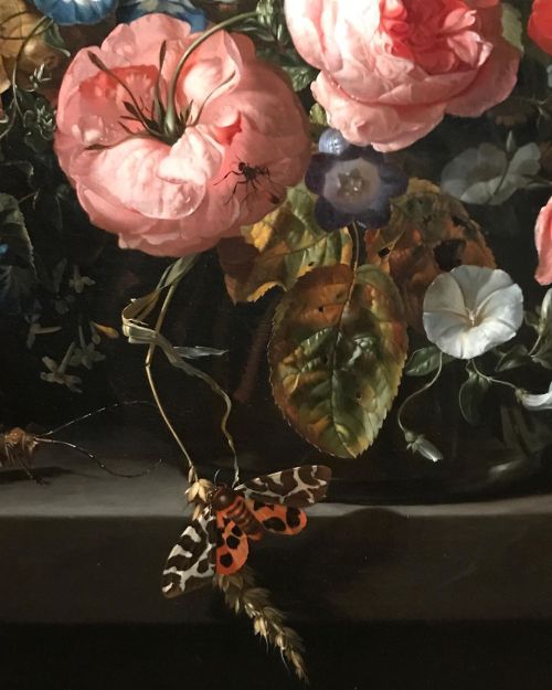 keirabisexual:Flowers in a Glass Vase (detail), 1704. Rachel Ruysch 