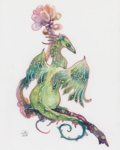 shadowscapes-stephlaw:A sweet little #succulent #dragon.#succulentaddict #succulents #succulentplant