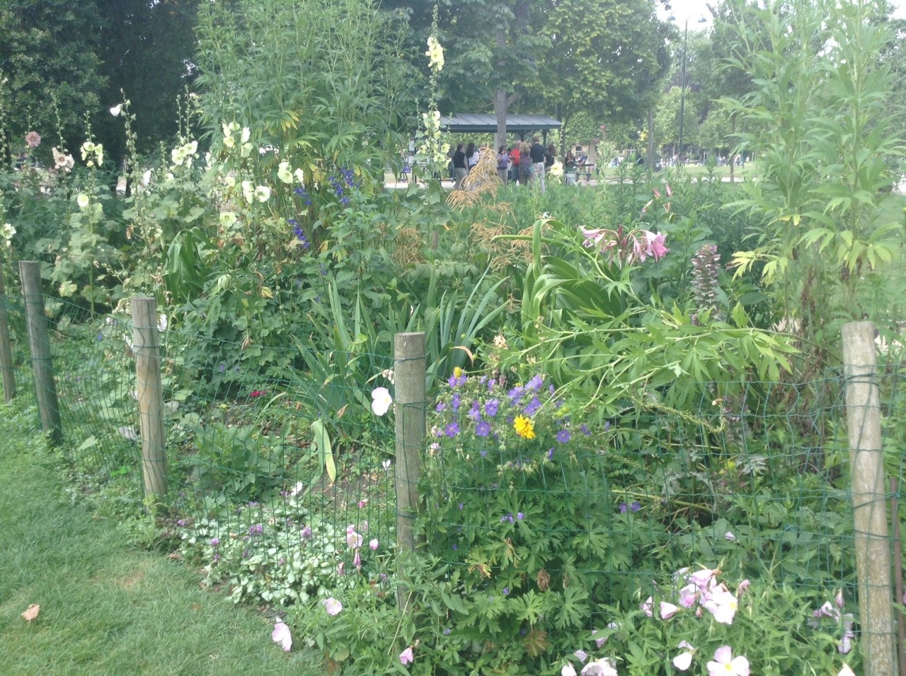 faery-lamb:  pretty flowers near the Eiffel Tower