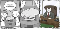 blogdehumor:  Las aveturas del gato empresario.http://blogdehumor.tumblr.com/