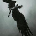 wingsofdeath - Lex
