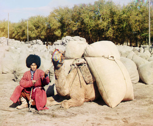 A Turkmen man of Central Asia in traditional clothes, around 1905–1915.